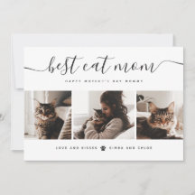 Meilleure Maman de Chat : Photo de Chat Personnali