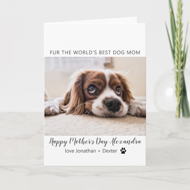 Carte Meilleure maman de chien du monde| Fête des mères (Devant)