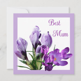 Carte Meilleure maman joli crocus mauve coloré fleuri