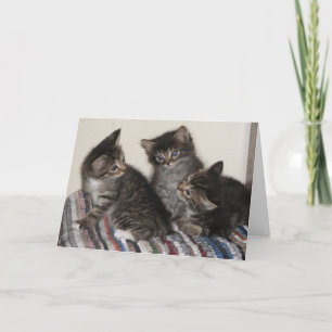 Carte Meilleurs amis