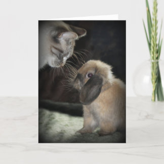 Carte Meilleurs amis