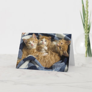 Carte Meilleurs amis