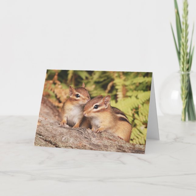 Carte Meilleurs amis Baby Chipmunks (Devant)