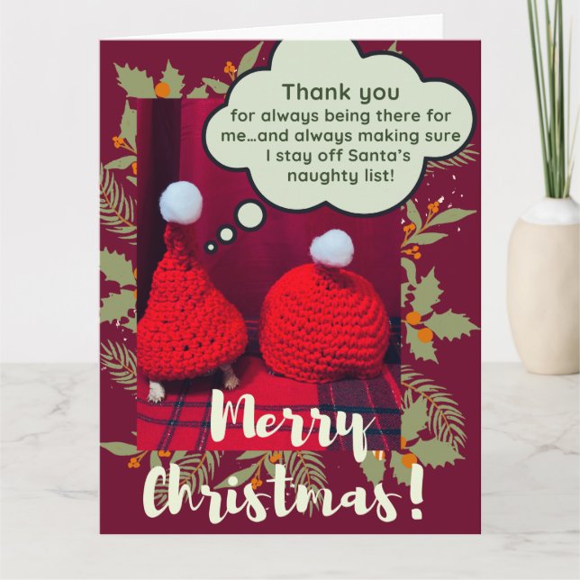 Carte Meilleurs amis drôles de Noël de bébé tortue Sulca (Devant)