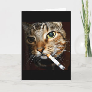 Carte Mème de chat qui fume drôle Humour noir Chat sarca