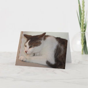 Carte Même un bon chat peut avoir un mauvais jour !
