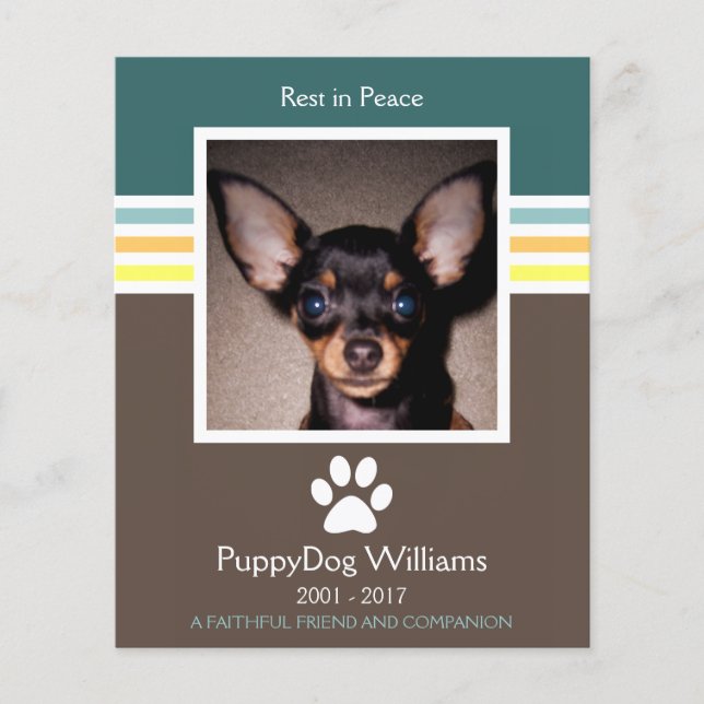 carte mémoire mod pet loss (Devant)