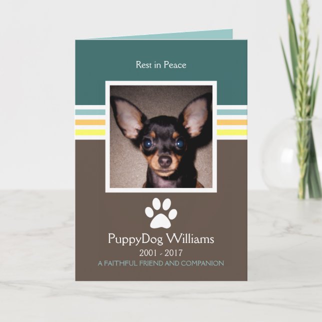 carte mémoire mod pet loss (Devant)