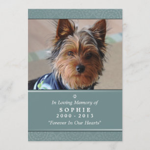 Carte Mémorial Chien 5x7 Turquoise Ne pas ourler P
