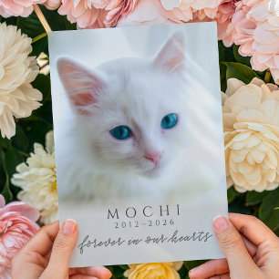 Carte Mémorial pour chat perte animale À jamais dans nos