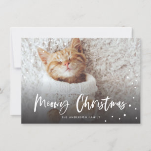 Carte Meowy Noël Chat à neige   Photo pour animaux