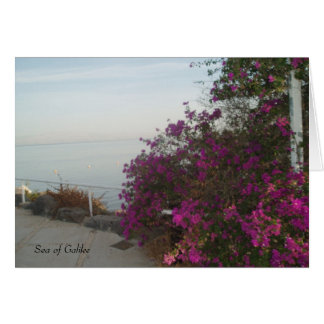 Carte Mer de Galilée