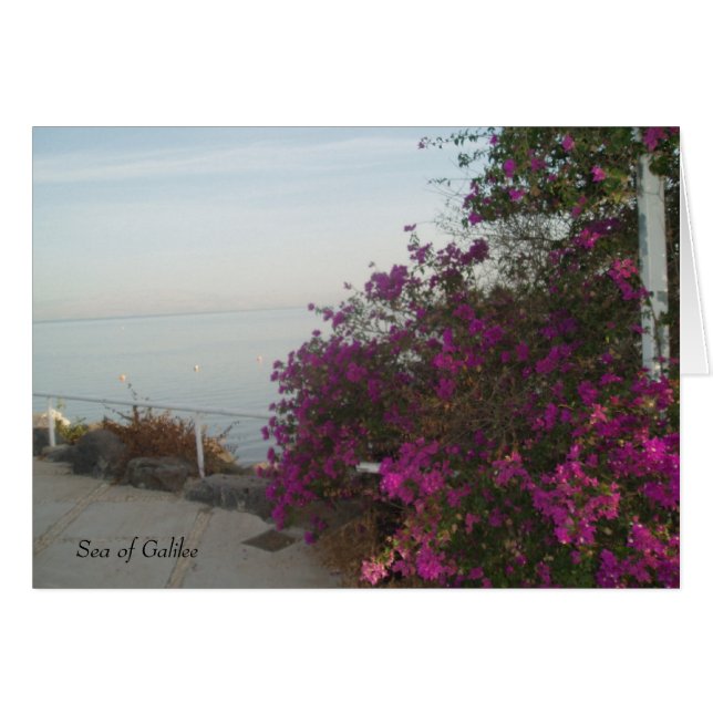 Carte Mer de Galilée (Devant horizontal)