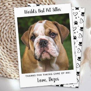 Carte Merci Chien Sitter Simple Cuite Personnalisée Phot