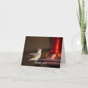 Carte Merci de colibri à gorge rubis