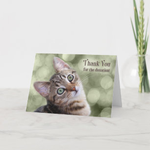 Carte Merci de don Tabby Kitten