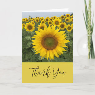 Carte Merci de script élégant de tournesol jaune