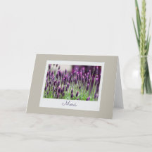 Merci French Lavender France Merci Gratitude