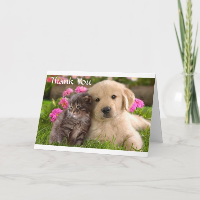 Carte Merci Golden Retriever Puppy & Kitten (Devant)
