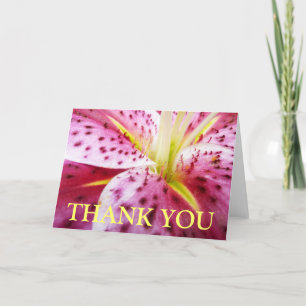 Carte Merci Lily Stargazer (vide à l'intérieur)