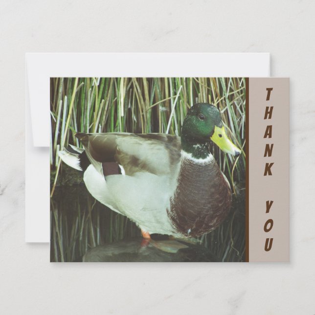 Carte Merci Mallard Duck Appréciation des oiseaux sauvag (Devant)