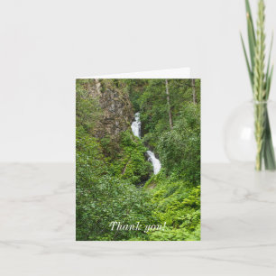 Carte Merci peint de Thunderbird Plush