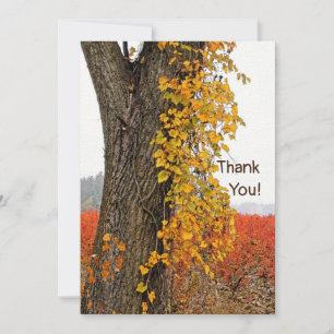 CARTE MERCI/PERSONNALISABLE/ARBRE, VIN, CHAMPS BLUEBERRY