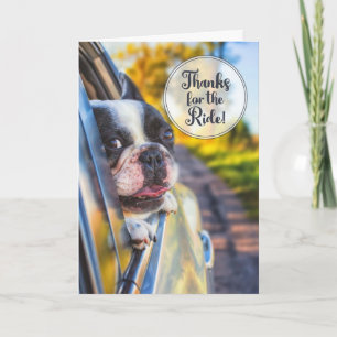 Carte Merci pour le Ride Cute Dog dans une fenêtre de vo