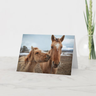 Carte Mère Cheval et poulain