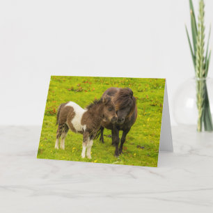 Carte Mère et progéniture de poney Shetland