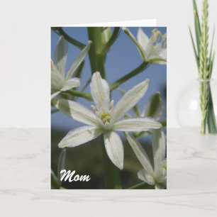 Carte mère Fleurs blanches
