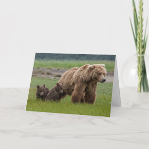 Carte Mère Grizzly Bear avec des lits jumeaux