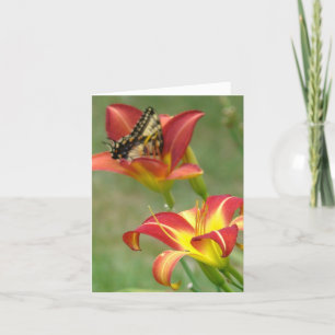 Carte Merveilles au-delà