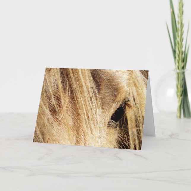 Carte Messy Mane, Fête des pères (Devant)