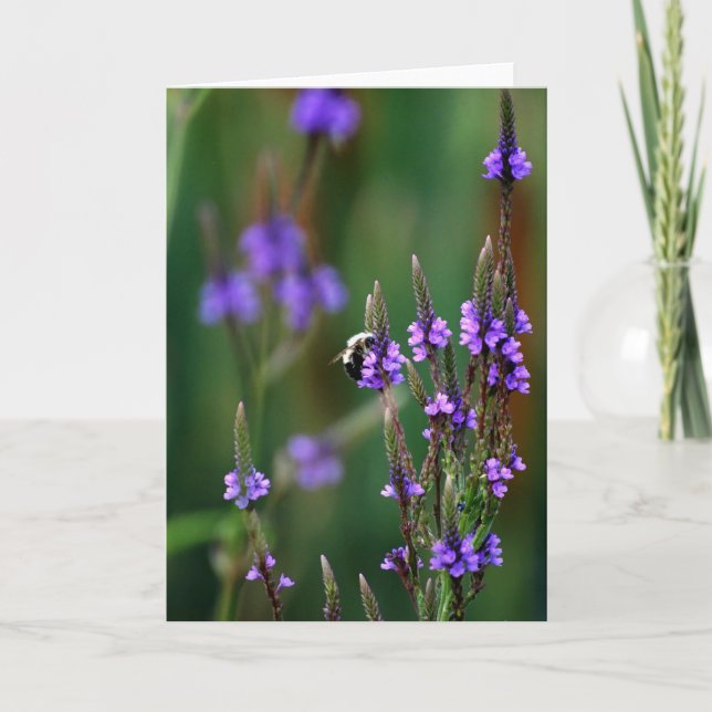 Carte Miel Bee (Devant)