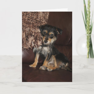 Carte Mignonne, adorable fête des mères de chien