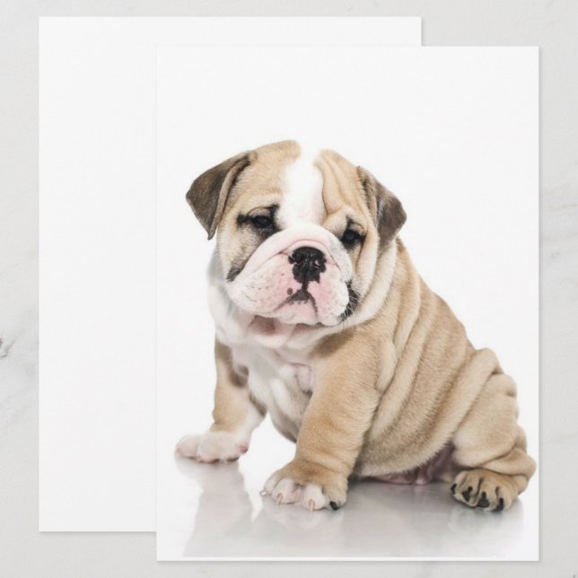 Carte Mignonne Chien-taupe Chien Triste (Devant / Derrière)