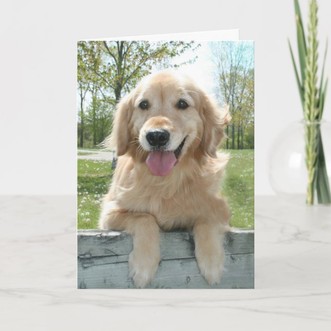 Carte Mignonne Golden Retriever Chien sur la clôture Pen (Devant)