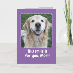Carte Mignonne Golden Retriever Mère's Day Card