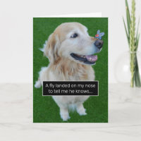 Mignonne Golden Retriever volez avec un message d'