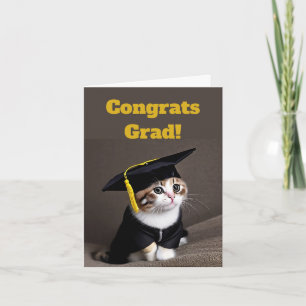 Carte Mignonne Kitten Graduation