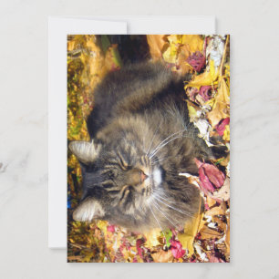 Carte Mignonne Maine Coon Le Si Heureux