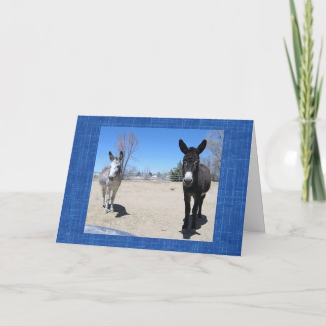 Carte Mignonne Vet School Graduate Western Ranch Farm DV (Devant)