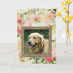 Carte Mignonnes mères heureux ou Fête des pères avec pho