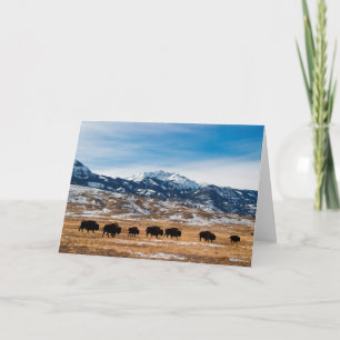 Carte Migration de bison