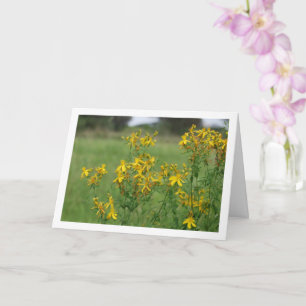 Carte Millepertuis perforé en fleurs