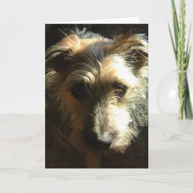 Carte Milles (Devant)