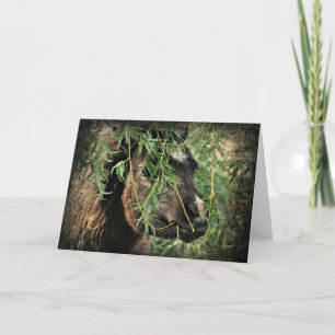 Carte Mini Être Onery, Anniversaire