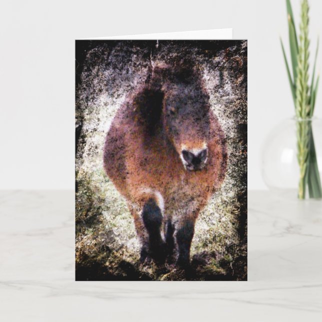 Carte Mini Mare Grunge (Devant)