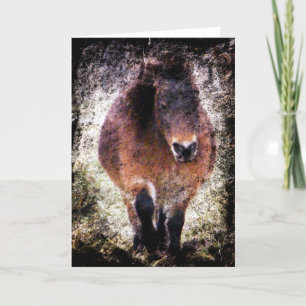 Carte Mini Mare Grunge